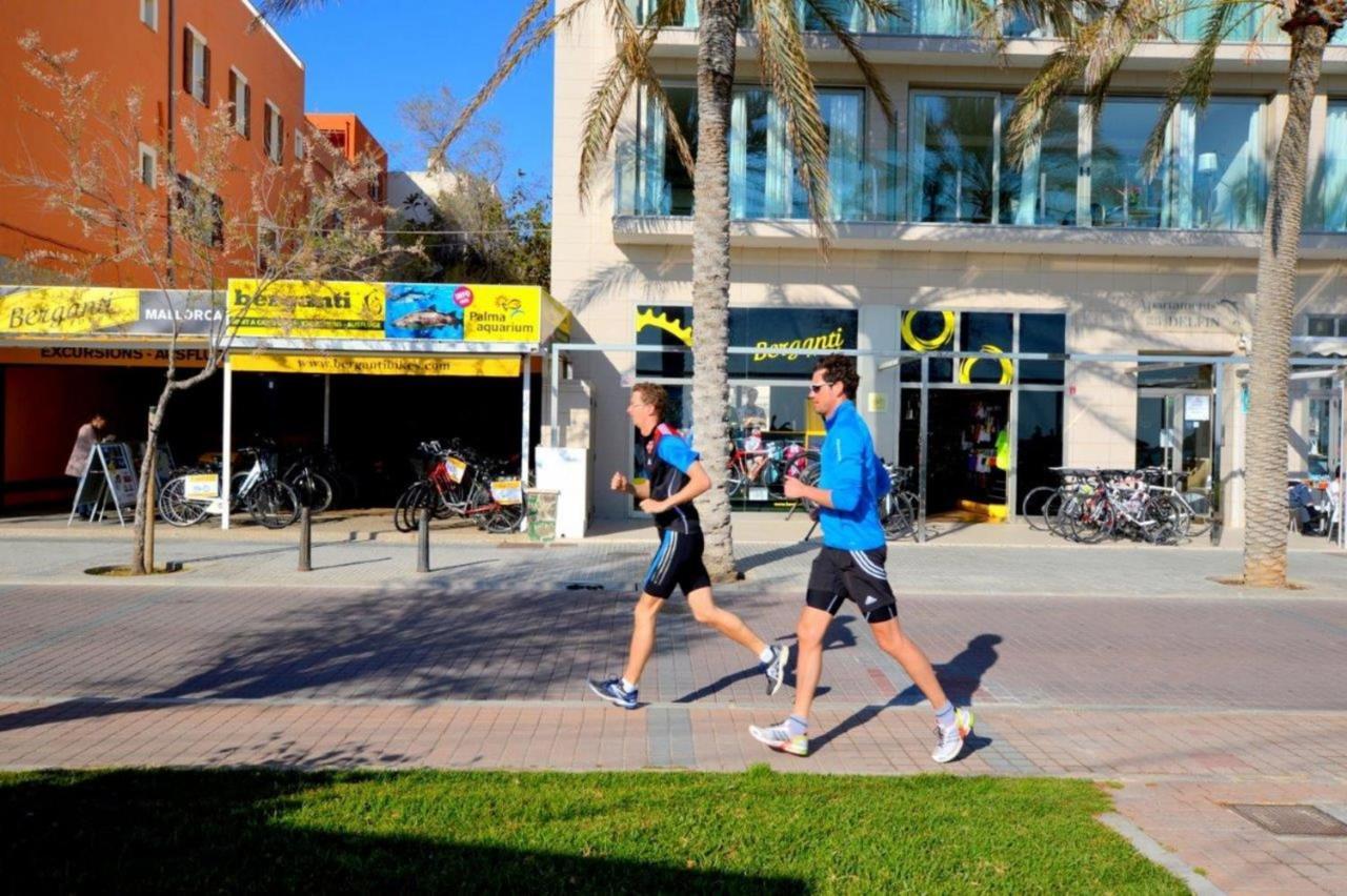 Primera Linea Del Mar Playa De Palma Lägenhet Can Pastilla  Exteriör bild